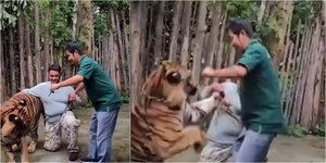 Καρέ-καρέ η επίθεση