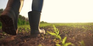 Περπάτημα του αγρότη: Η απλή άσκηση για καλύτερη στάση σώματος στο σπίτι