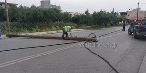Eπεσαν στύλοι της ΔΕΗ