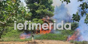 Φωτιά στη Ριτσώνα: Μάχη με τις αναζωπυρώσεις δίνουν τα εναέρια -Συνελήφθη 28χρονος που έκανε αγροτικές εργασίες