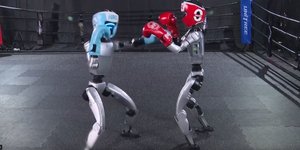Προπόνηση ανθρωποειδών ρομπότ στην πυγμαχία