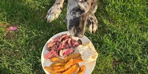 Παρήγγειλε το τελευταίο γεύμα του σκύλου του