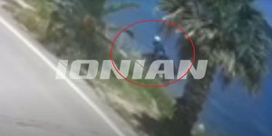 Γουρούνα έπεσε από ύψος στη Ζάκυνθο