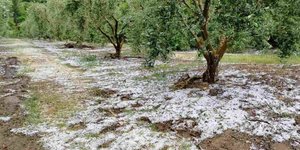 Σφοδρή χαλαζόπτωση στη Χαλκιδική