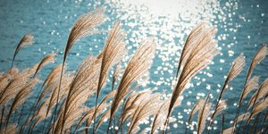 Χρήμα και τύχη στις 22 Μαΐου: Ποια 3 ζώδια ευνοεί η δυνατή όψη Αφροδίτης και Άρη