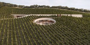 αμπελώνας οινοποιείο κύκλος υπόσκαφο ντιζάιν