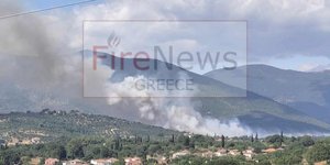 Εικόνα από τη φωτιά στο Κοπανάκι Μεσσηνίας