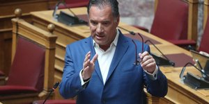 Ο Άδωνις Γεωργιάδης