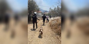 Φωτιά στη Παλαιά Φώκαια: Δεκάδες απεγκλωβισμοί πολιτιών και ζώων από την ΕΛ.ΑΣ