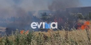 Εικόνα από τη φωτιά στη Ριτσώνα