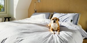 Αυτό είναι το αντικείμενο που μπλοκάρει την ενέργεια στην κρεβατοκάμαρα, σύμφωνα με το Φενγκ Σούι