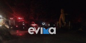 Έπεσε δέντρο στη Στενή Ευβοίας 