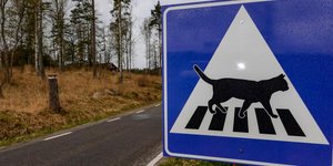 Διάβαση γάτας