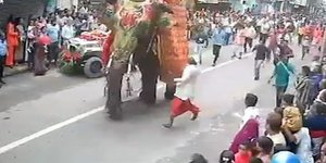 Ελέφαντας σε αμοκ έπεσε πάνω στο πλήθος σε φεστιβάλ στην Ινδία