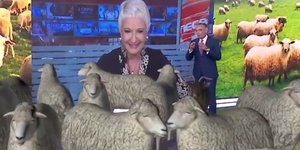 Το γραφικό που έκανε και τον ίδιο το Νίκο Ευαγγελάτο να πεθάνει στα γέλια