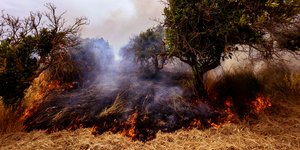 Φωτιά στην τοποθεσία Άνω Καρνεζαίικα Αργολίδας