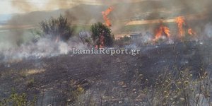 Φωτιά στον Δομοκό
