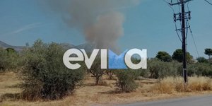 Φωτιά στην Μαγούλα Ερέτριας
