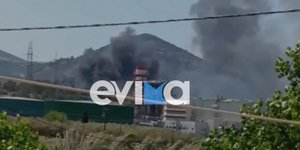 Από τη σημερινή φωτιά που ξέσπασε στην Εύβοια