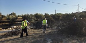Ξεκίνησε η αποκατάσταση των ζημιών από τη φωτιά στην Παλαιά Φώκαια