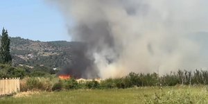 Φωτιά στη Καλλονή Λέσβου