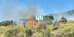 Φωτιά στην Ναύπακτο