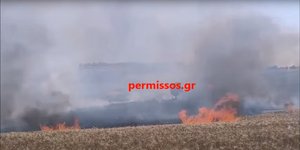 Φωτιά στο Λεοντάρι Βοιωτίας