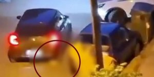 Αδιανόητο: 34χρονος άρχισε να κλωτσάει γάτα και στην συνέχεια την πατάει με το αυτοκίνητο -Συνελήφθη [βίντεο]