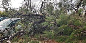 Η κακοκαιρία έπληξε τα Μέγαρα