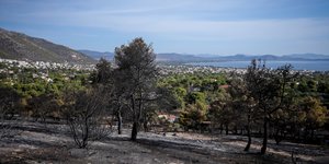 Καμένο δάσος πάνω από τη Νέα Μάκρη το 2021