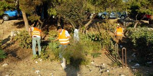 Καθαρισμός οικοπέδου 