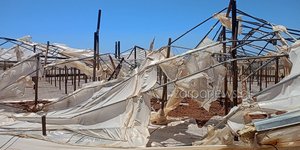 Κατεστραμμένα θερμοκήπια Χανιά