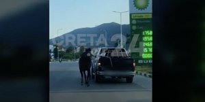 Κρήτη: Ασυνείδητος έδεσε με σχοινί άλογο στο αυτοκίνητο και το έσερνε [βίντεο]