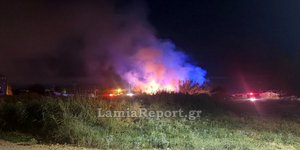 Φωτιά σε καλαμιές κοντά σε σπίτια στη Λαμία 