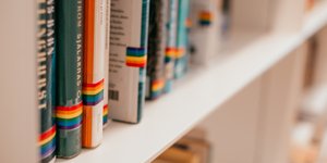 Βιβλία με σήμανση LGBTQ περιεχομένου