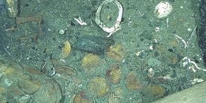 Νομίσματα από τον θησαυρό του ναυαγίου του Σαν Χοσέ ανοικτά της Κολομβίας