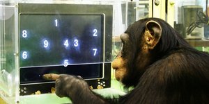 Πρόσφατες μελέτες υποδηλώνουν ότι πολύ περισσότερα ζώα μπορεί να έχουν την ικανότητα της συνείδησης από ό,τι πιστευόταν προηγουμένως / SHUTTERSTOCK 