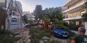 Κηφισιά πτώση δέντρου