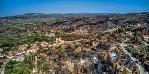 Η πυρκαγιά στην Ηλεία τον Αύγουστο του 2021 κατέστρεψε πολλά στρέματα δάσους και καλλιεργήσιμων εκτάσεων 