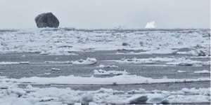 Ένα σπάνιο μαύρο παγόβουνο που εντοπίστηκε στα ανοικτά των ακτών του Λαμπραντόρ προκαλεί αναταραχή στα μέσα κοινωνικής δικτύωσης / YOUTUBE