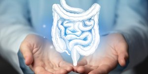 Pathophysiology of Internal Hemorrhoids