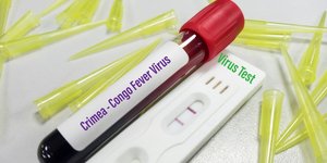 Τι είναι ο αιμορραγικός πυρετός Κριμαίας-Κονγκό 