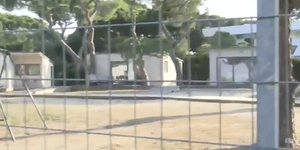 Αυτοψία στο Σχινιά για αυθαίρετα κτίσματα από ΥΠΕΝ και Οικονομική Αστυνομία