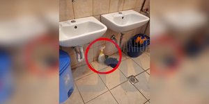 Το καθαριστικό υγρό σε σχολείο στο Κουκάκι