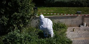 Ερευνα των ΤΕΕΜ σε θάμνους
