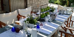 τραπεζι γευσιγνωσία μηλα πρασινα