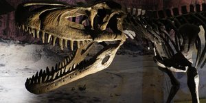 δεινόσαυρος