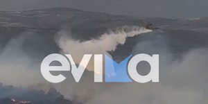 Μεγάλη φωτιά στην Εύβοια
