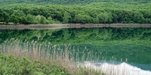 Η Ελλάδα δεν είναι μόνο τα νησιά: Η πιο απρόσμενη «παραλία» βρίσκεται στο βουνό -Καταπράσινο τοπίο, ένα φυσικό θαύμα