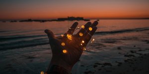 Ζώδια/Φωτογραφία Unsplash